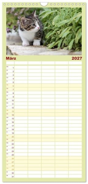 Produktbild: Familienplaner 2027 - Kitten auf Entdeckungsreise mit 5 Spalten (Wandkalender, 21 x 45 cm) CALVENDO