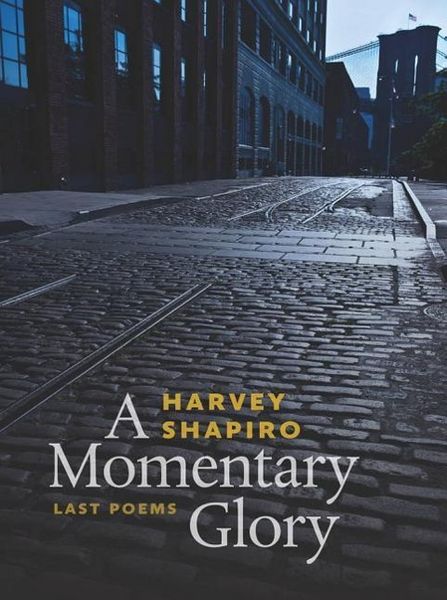 Produktbild: A Momentary Glory