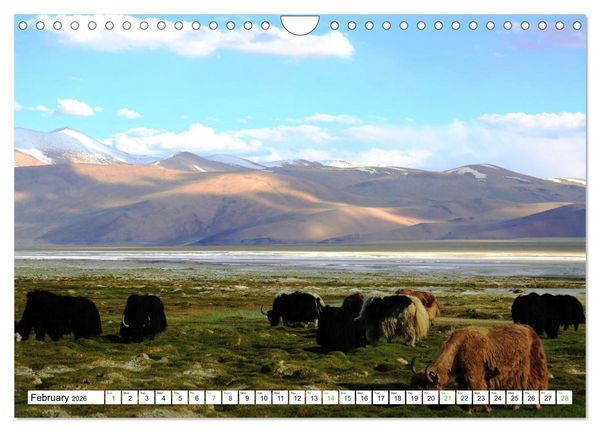Produktbild: Leh And Ladakh Beautiful Glimpses (Wall Calendar 2026 DIN A4 landscape), CALVENDO 12 Month Wall Calendar
