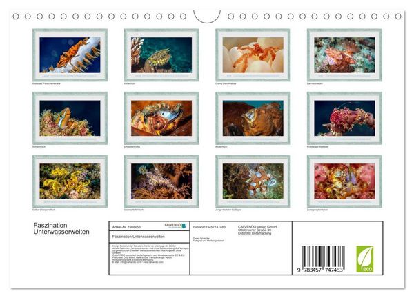 Produktbild: Faszination Unterwasserwelten (Wandkalender 2026 DIN A4 quer), CALVENDO Monatskalender