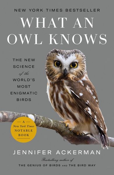 Produktbild: What an Owl Knows