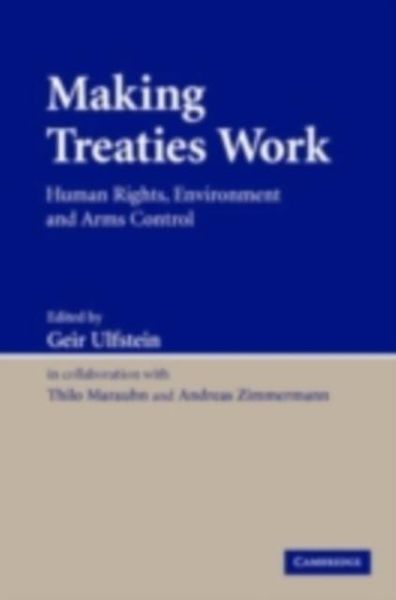 Produktbild: Making Treaties Work