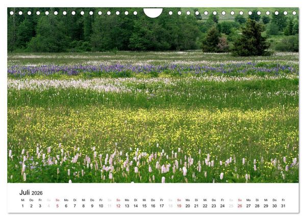 Produktbild: Naturerlebnis im Biosph&auml;renreservat Rh&ouml;n (Wandkalender 2026 DIN A4 quer), CALVENDO Monatskalender