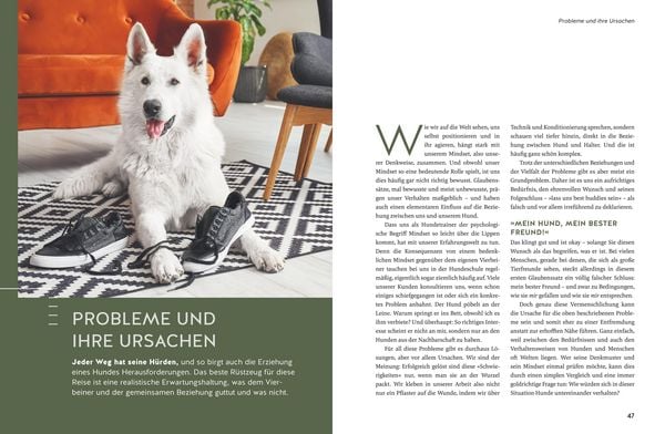 Produktbild: Typgerechte Hundeerziehung