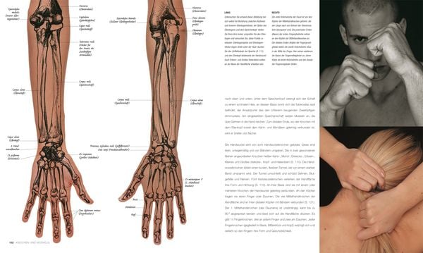 Produktbild: Anatomie f&uuml;r K&uuml;nstler