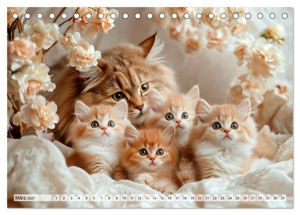 Produktbild: Kleine K&auml;tzchen - Ein Jahr voller Samtpfotenzauber (Tischkalender 2027 DIN A5 quer), CALVENDO Monatskalender