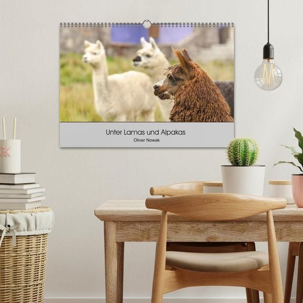 Produktbild: Unter Lamas und Alpakas (Wandkalender 2027 DIN A3 quer), CALVENDO Monatskalender