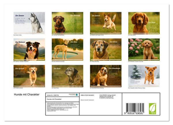 Produktbild: Hunde mit Charakter (Wandkalender 2026 DIN A4 quer), CALVENDO Monatskalender