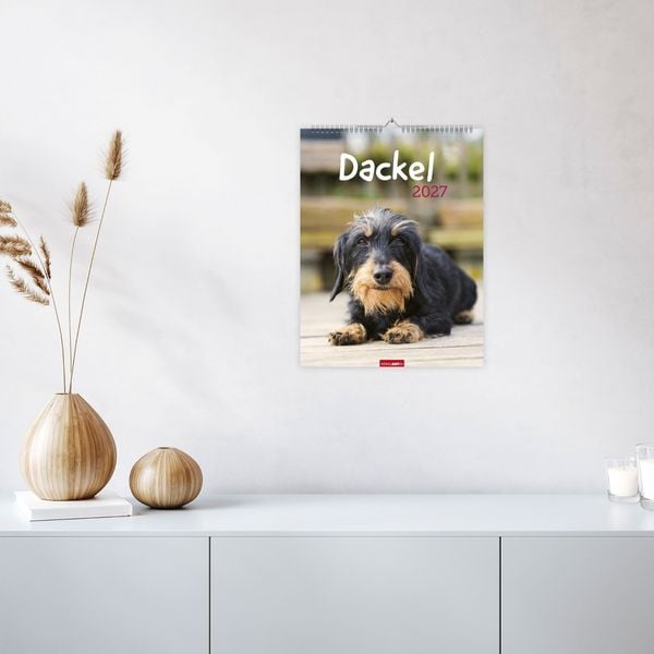Produktbild: Dackel Kalender 2027