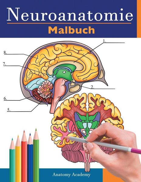 Produktbild: Neuroanatomie Malbuch