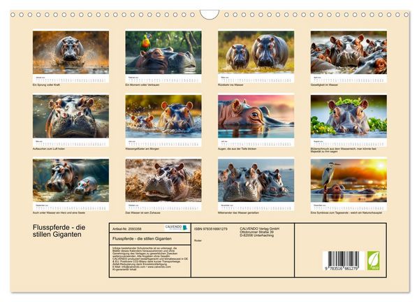 Produktbild: Flusspferde - die stillen Giganten (Wandkalender 2026 DIN A3 quer), CALVENDO Monatskalender