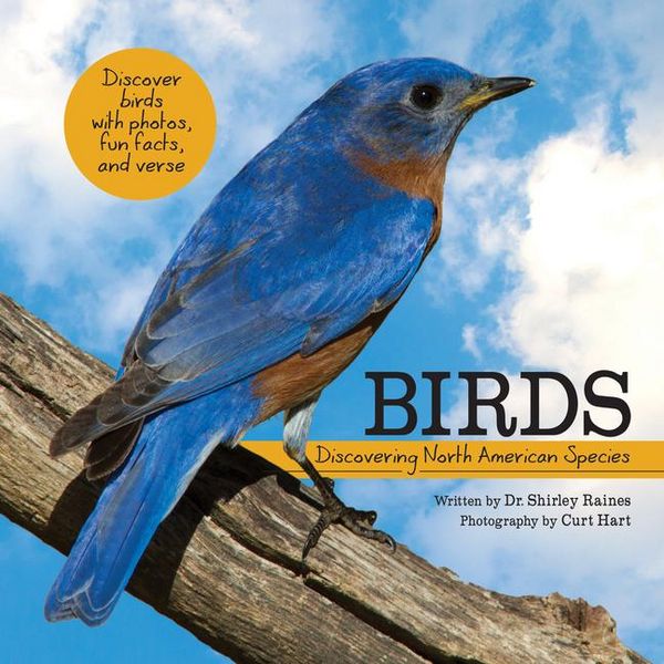 Produktbild: Birds