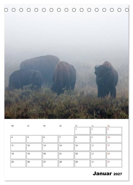 Produktbild: Yellowstone und Grand Tetons Nationalparks (Tischkalender 2027 DIN A5 hoch), CALVENDO Monatskalender