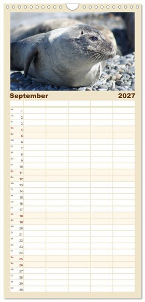 Produktbild: Familienplaner 2027 - Das Leben der Robben mit 5 Spalten (Wandkalender, 21 x 45 cm) CALVENDO