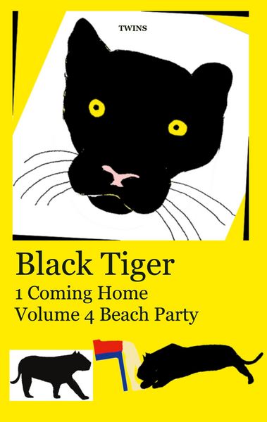 Produktbild: Black Tiger 1 Coming Home