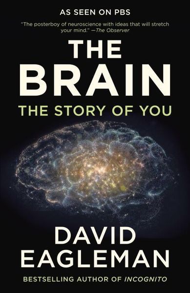 Produktbild: The Brain