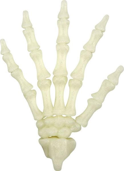 Produktbild: Fluoreszierende Skelett-Hand - Wild+Cool