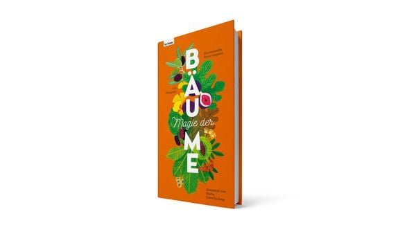Produktbild: Magie der B&auml;ume