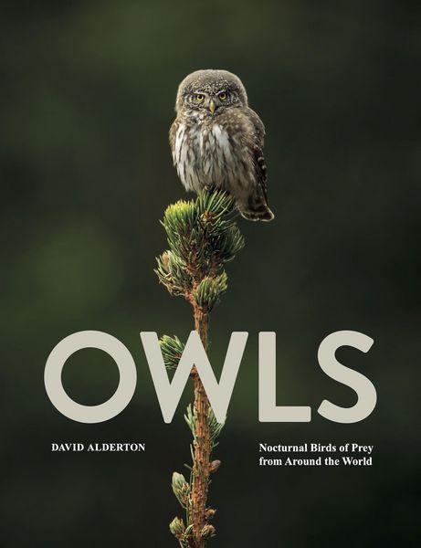 Produktbild: Owls