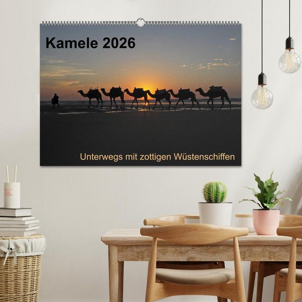 Produktbild: Kamele 2026 - Unterwegs mit zottigen W&uuml;stenschiffen (Wandkalender 2026 DIN A2 quer), CALVENDO Monatskalender