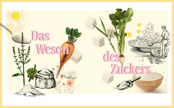 Produktbild: Das Zuckerl