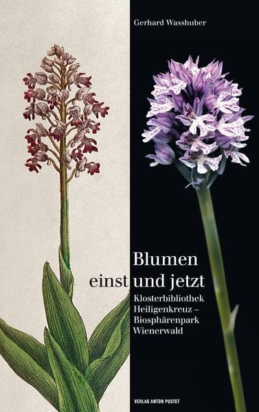 Produktbild: Blumen einst und jetzt
