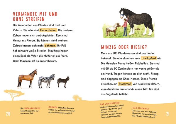 Produktbild: Dein Lesestart - Pferde und Ponys