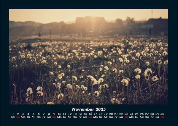 Produktbild: Blumenkalender 2025 Fotokalender DIN A4