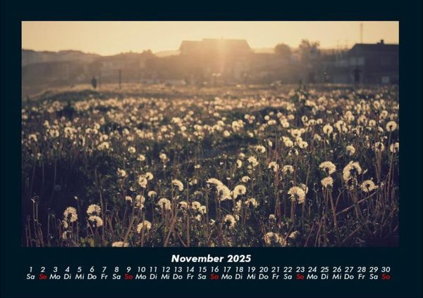 Produktbild: Blumenkalender 2025 Fotokalender DIN A4