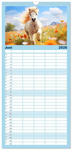 Produktbild: Familienplaner 2026 - Kleine Pferde. Mini-Ponys zum verlieben mit 5 Spalten (Wandkalender, 21 x 45 cm) CALVENDO