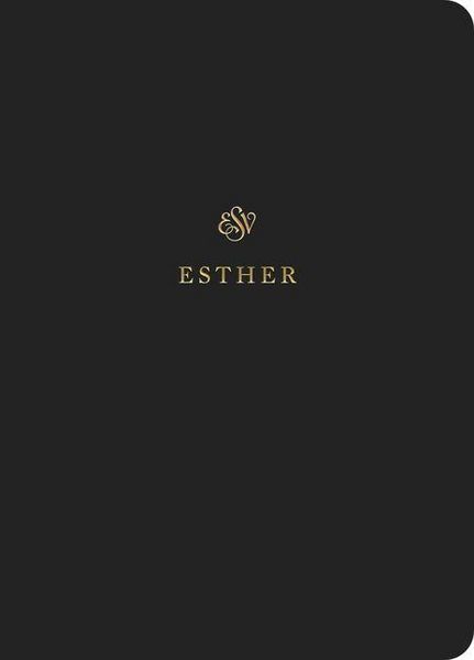 Produktbild: ESV Scripture Journal