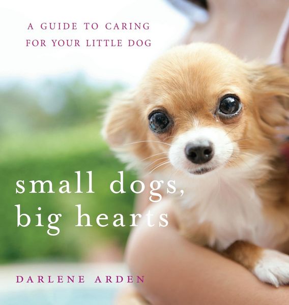 Produktbild: Small Dogs, Big Hearts