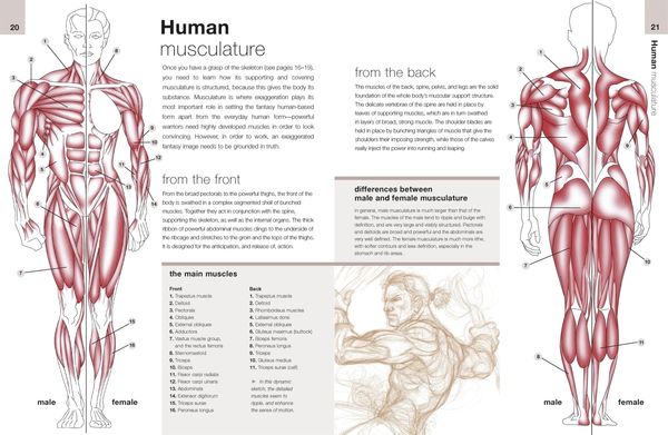 Produktbild: Anatomy for Fantasy Artists