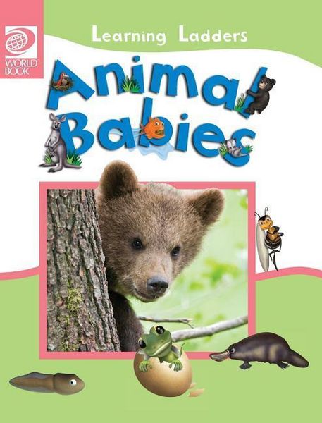 Produktbild: Animal Babies