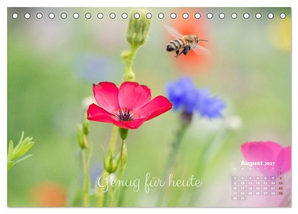 Produktbild: Bl&uuml;ten,Fl&uuml;gel und Gedanken &ndash; Ein Jahr in Bildern und Worten (Tischkalender 2027 DIN A5 quer), CALVENDO Monatskalender
