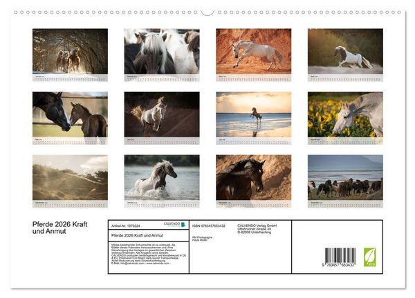 Produktbild: Pferde 2026 Kraft und Anmut (hochwertiger Premium Wandkalender 2026 DIN A2 quer), Kunstdruck in Hochglanz