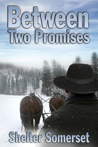Produktbild: Between Two Promises