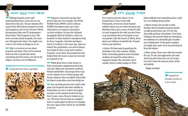 Produktbild: Face to Face with Leopards