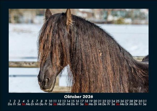 Produktbild: Die Welt der Pferde 2026 Fotokalender DIN A5