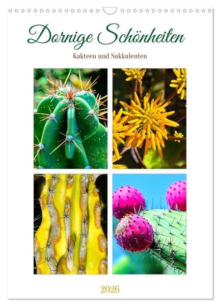 Produktbild: Dornige Sch&ouml;nheiten - Kakteen und Sukkulenten (Wandkalender 2026 DIN A3 hoch), CALVENDO Monatskalender