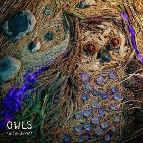 Produktbild: Rare Birds