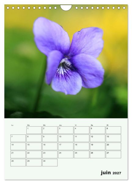 Produktbild: Fleurs en toute simplicit&eacute; - Beaut&eacute; minimaliste (Calendrier mural 2027 DIN A4 horizontal), CALVENDO calendrier mensuel