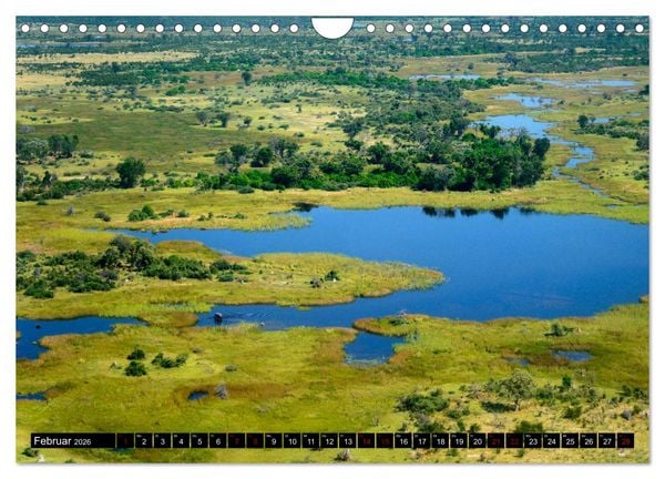 Produktbild: Faszination Botswana (Wandkalender 2026 DIN A4 quer), CALVENDO Monatskalender