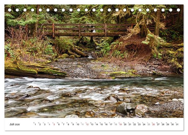 Produktbild: The Olympic National Park - Washington USA (Tischkalender 2026 DIN A5 quer), CALVENDO Monatskalender