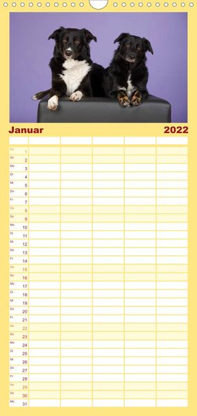 Produktbild: Familienplaner Bunte Pfoten (Wandkalender 2022 , 21 cm x 45 cm, hoch)