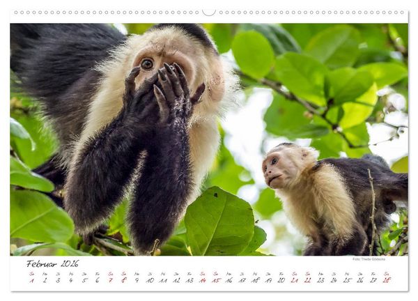 Produktbild: Natur pur, Costa Rica (hochwertiger Premium Wandkalender 2026 DIN A2 quer), Kunstdruck in Hochglanz