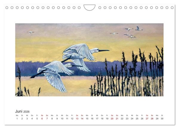 Produktbild: Auf leichten Schwingen - Zugv&ouml;gel (Wandkalender 2026 DIN A4 quer), CALVENDO Monatskalender