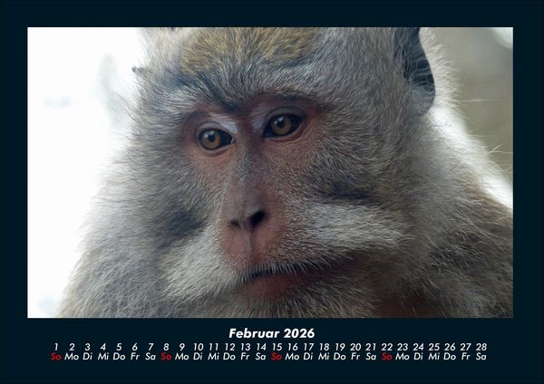 Produktbild: Indonesien 2026 Fotokalender DIN A4