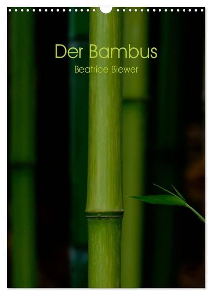 Produktbild: Der Bambus (Wandkalender 2026 DIN A3 hoch), CALVENDO Monatskalender