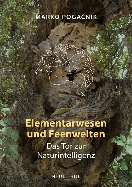 Produktbild: Elementarwesen und Feenwelten